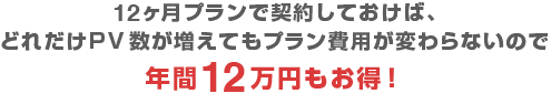 12ヶ月プランで契約しておけば、どれだけPV数が増えてもプラン費用が変わらないので年間12万円もお得!