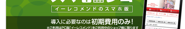 導入に必要なのは初期費用のみ!※ご利用はPC版「イーレコメンド」をご利用中のショップ様に限ります