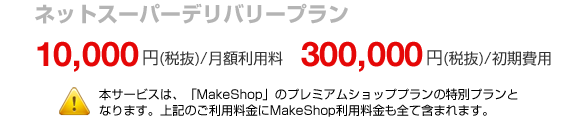 �ͥåȥ����ѡ��ǥ�Х꡼�ץ�� 10,500��/���������  300,000��/�������