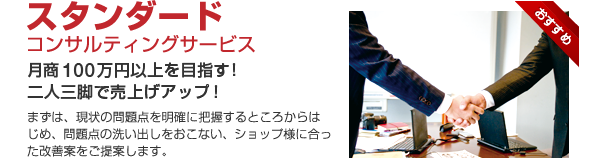 スタンダードコンサルティングサービス/月商100万円以上を目指す!二人三脚で売上アップ!